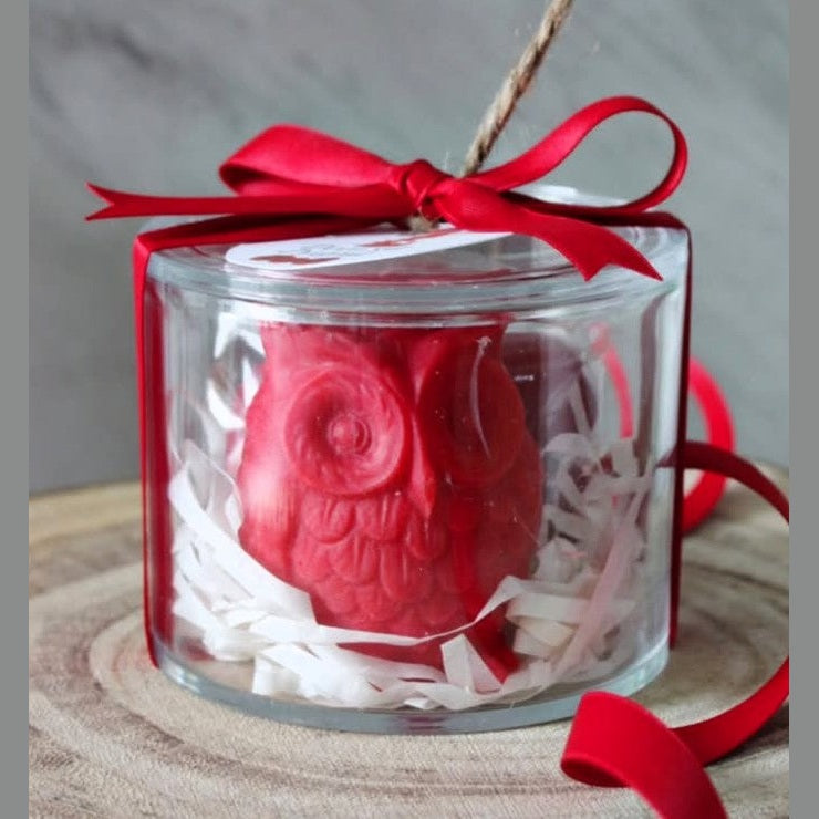 Gufetto Portafortuna Laurea – Bomboniera in Scatola Plexiglass