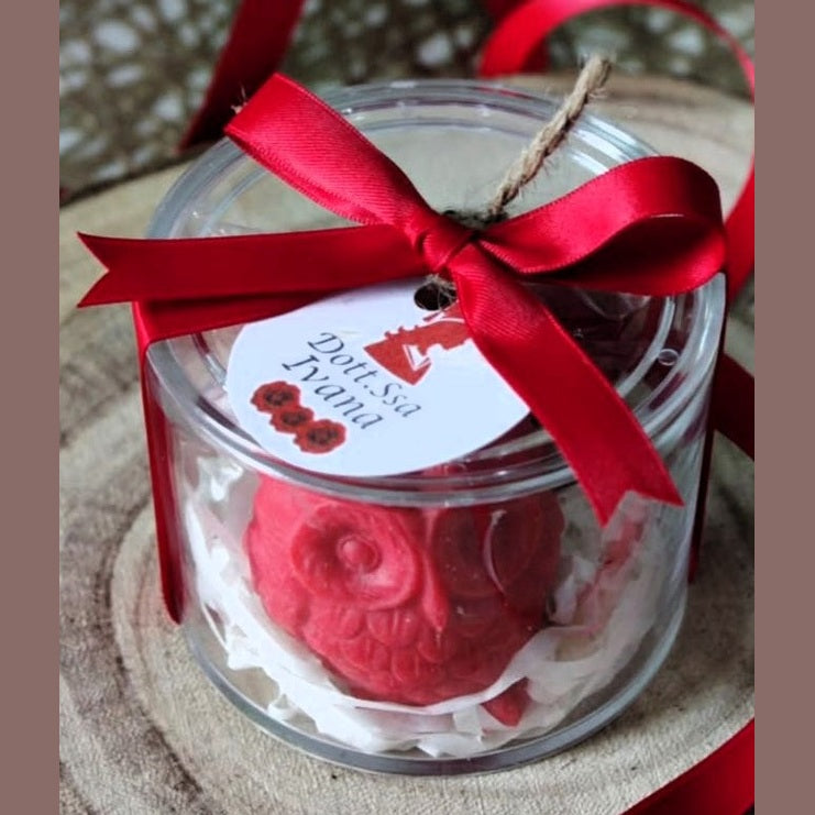 Gufetto Portafortuna Laurea – Bomboniera in Scatola Plexiglass