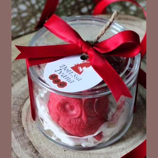 Gufetto Portafortuna Laurea – Bomboniera in Scatola Plexiglass